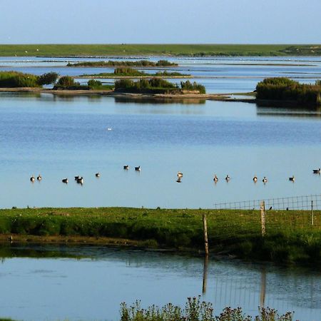 Haus-Halligblick-Ferienwohnung-Hamburger-Hallig Dagebuell Luaran gambar