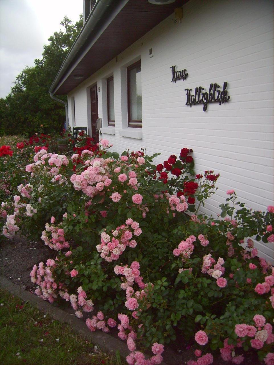 Haus-Halligblick-Ferienwohnung-Hamburger-Hallig Dagebuell Luaran gambar