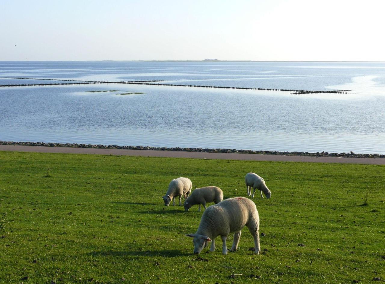 Haus-Halligblick-Ferienwohnung-Hamburger-Hallig Dagebuell Luaran gambar