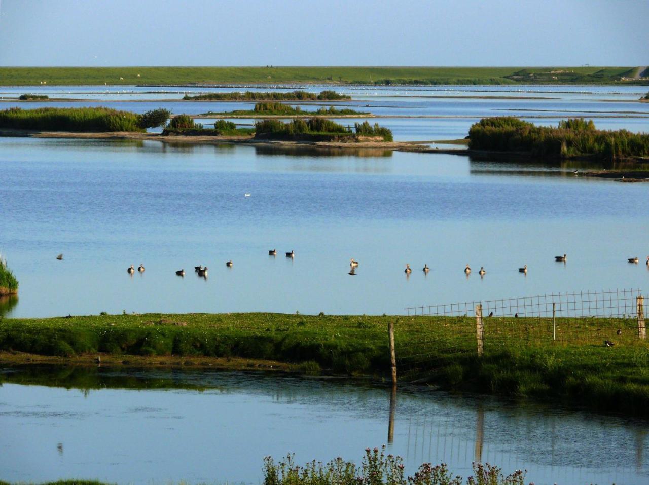 Haus-Halligblick-Ferienwohnung-Hamburger-Hallig Dagebuell Luaran gambar
